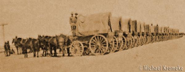 Camp Cody Mule Train