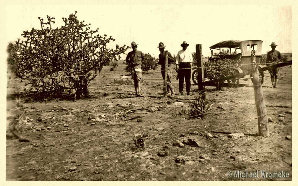 Camp Cody Soldiers Clearing Cactus